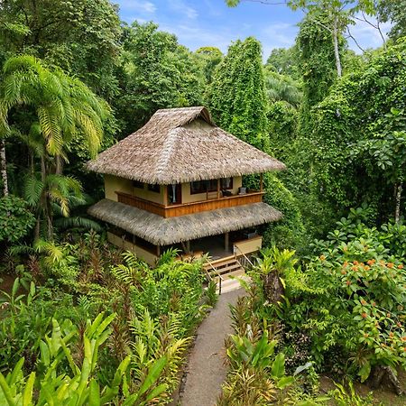 Copa De Arbol Beach & Rainforest Resort Драке Экстерьер фото