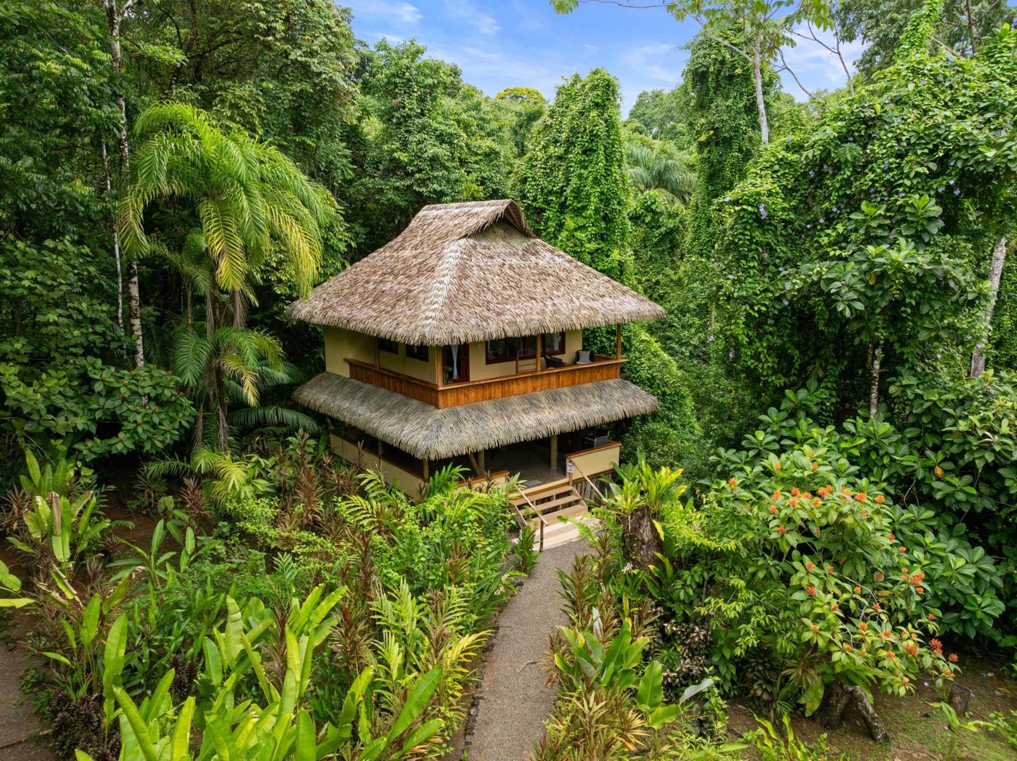 Copa De Arbol Beach & Rainforest Resort Драке Экстерьер фото