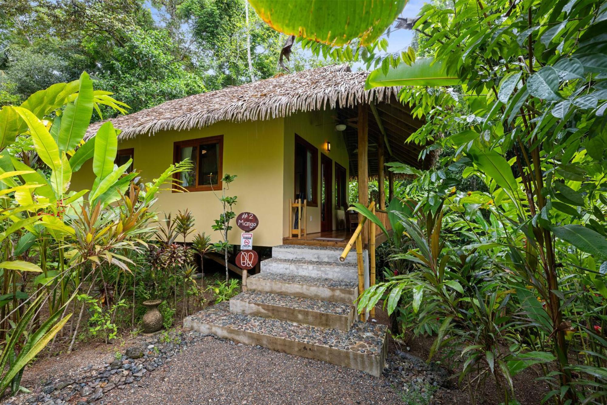 Copa De Arbol Beach & Rainforest Resort Драке Экстерьер фото