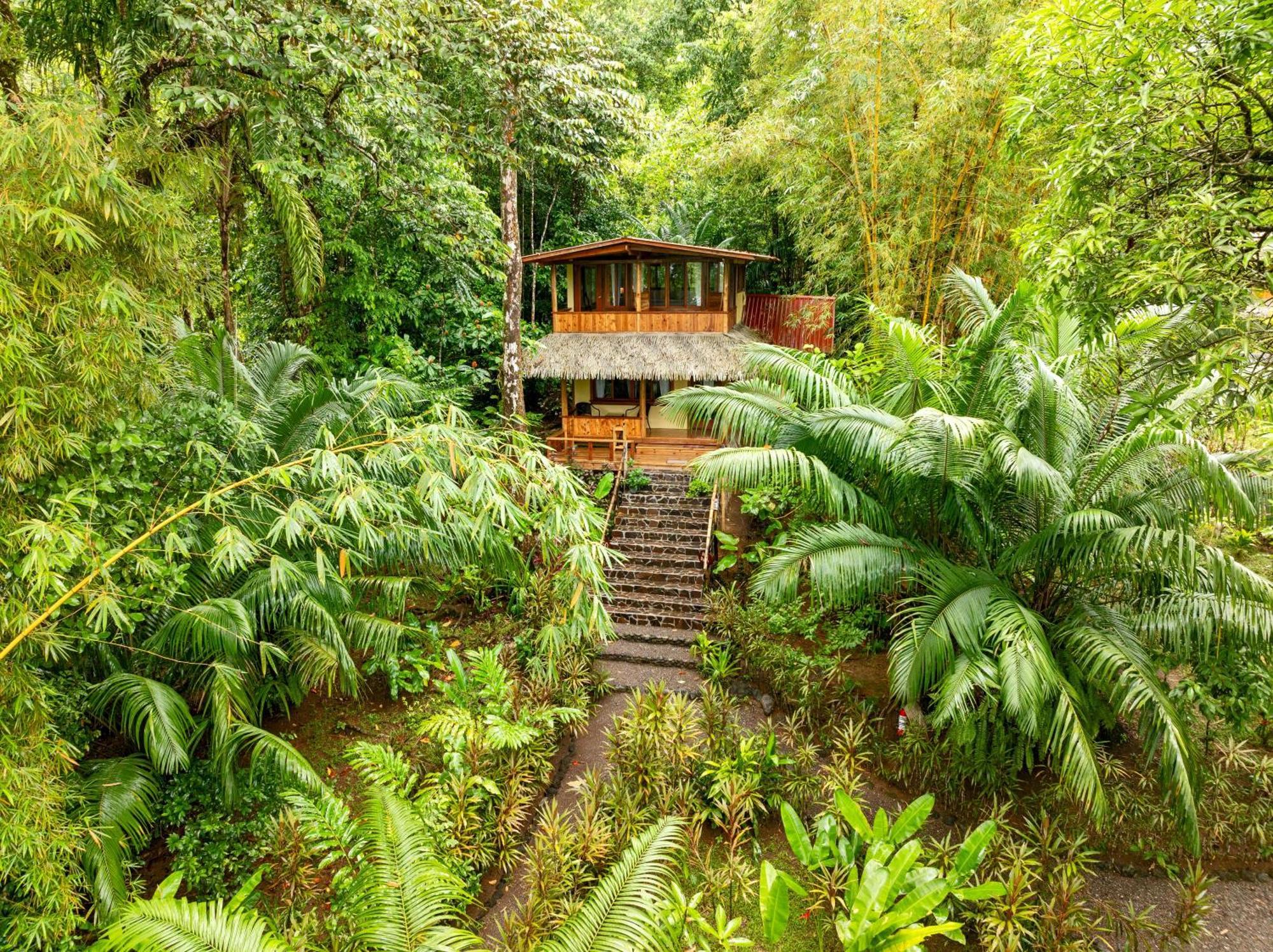 Copa De Arbol Beach & Rainforest Resort Драке Экстерьер фото