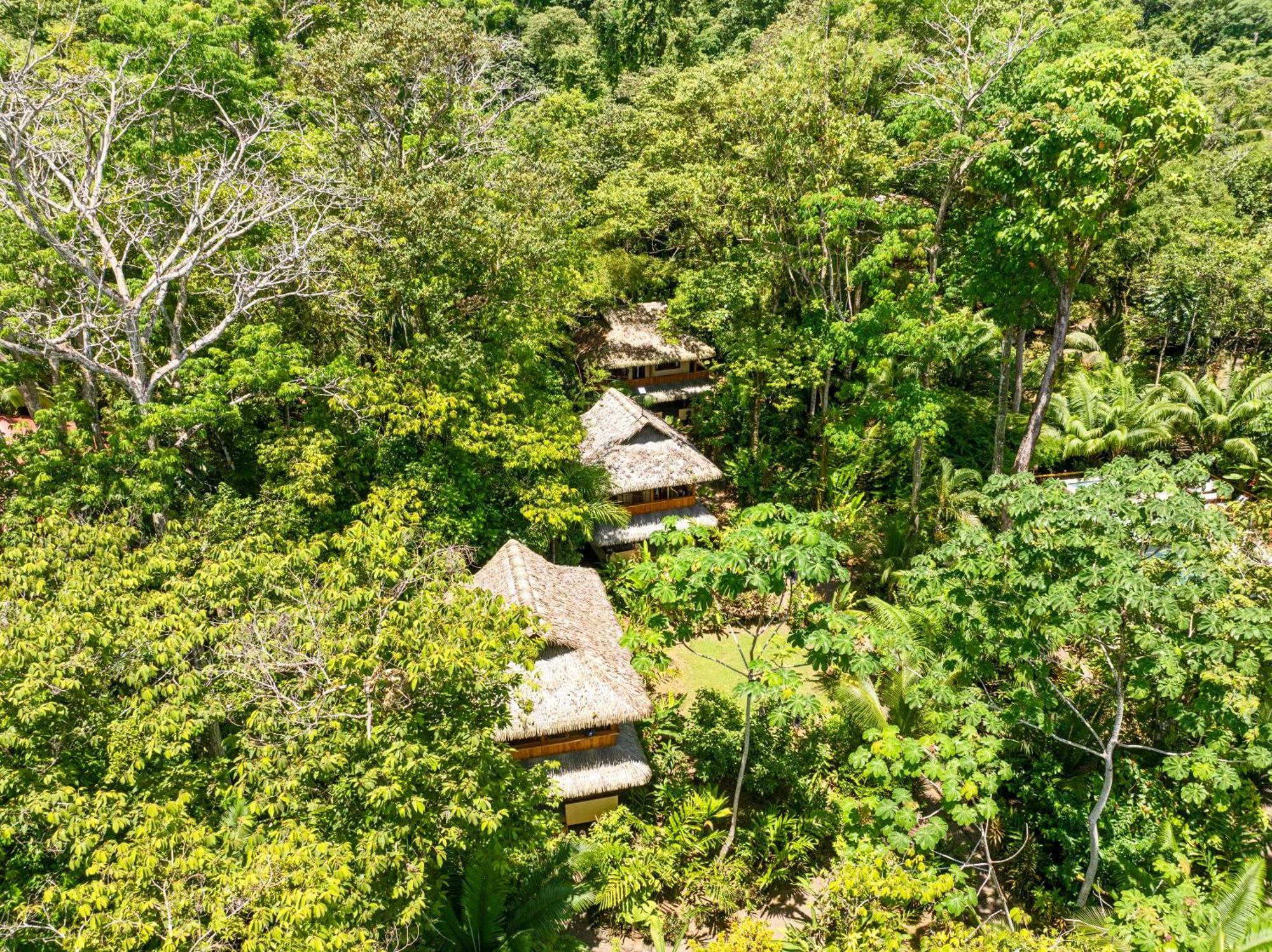 Copa De Arbol Beach & Rainforest Resort Драке Экстерьер фото
