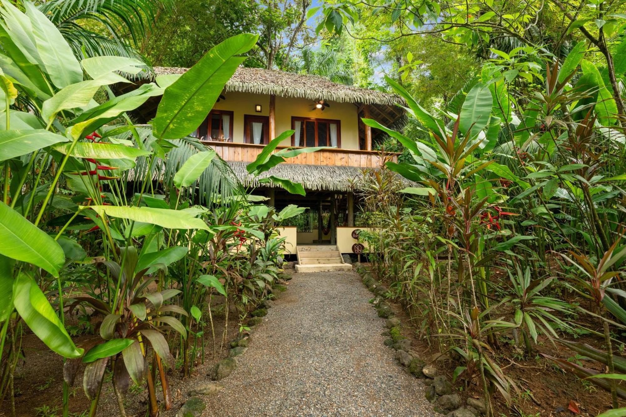 Copa De Arbol Beach & Rainforest Resort Драке Номер фото
