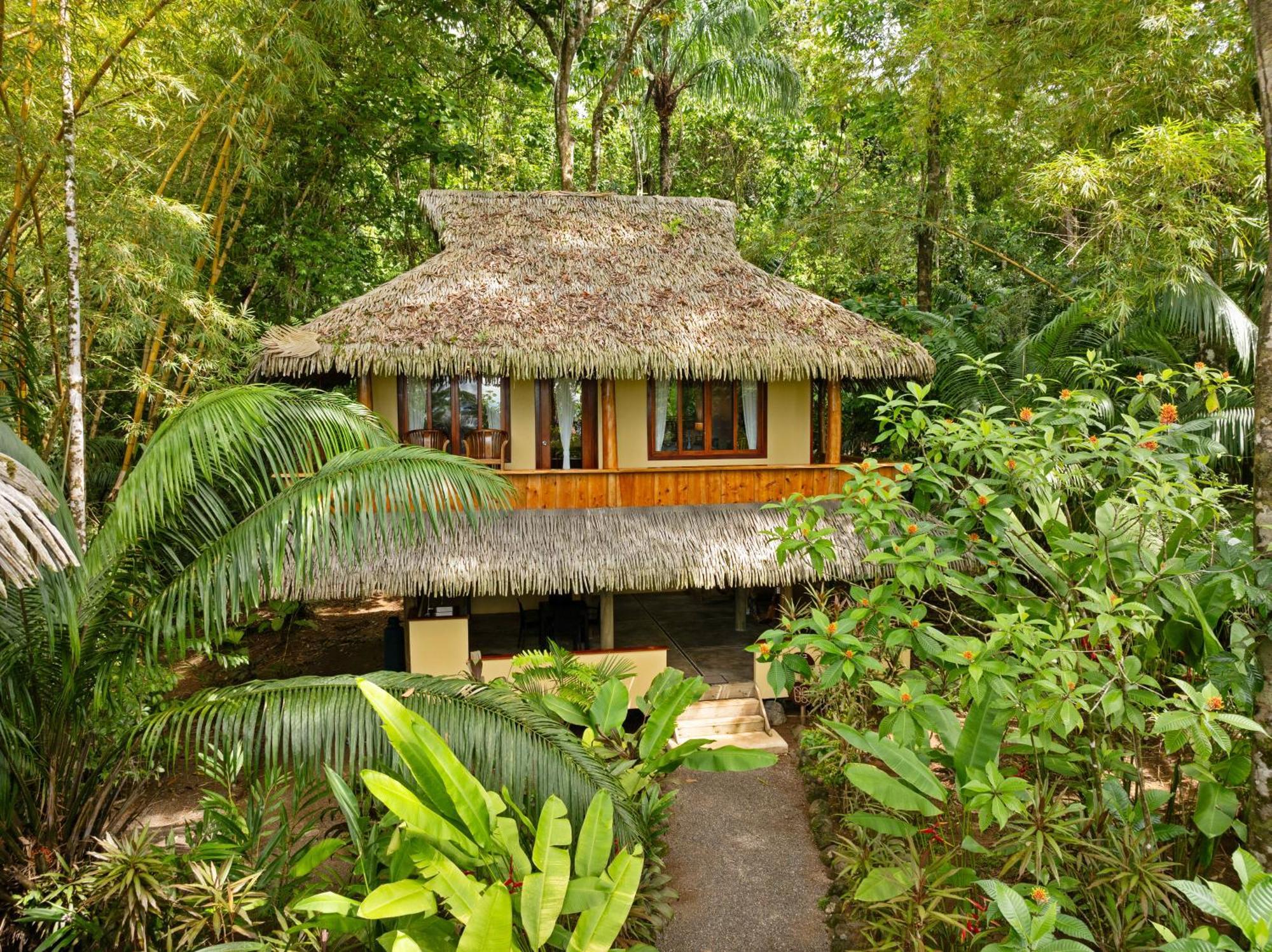 Copa De Arbol Beach & Rainforest Resort Драке Номер фото