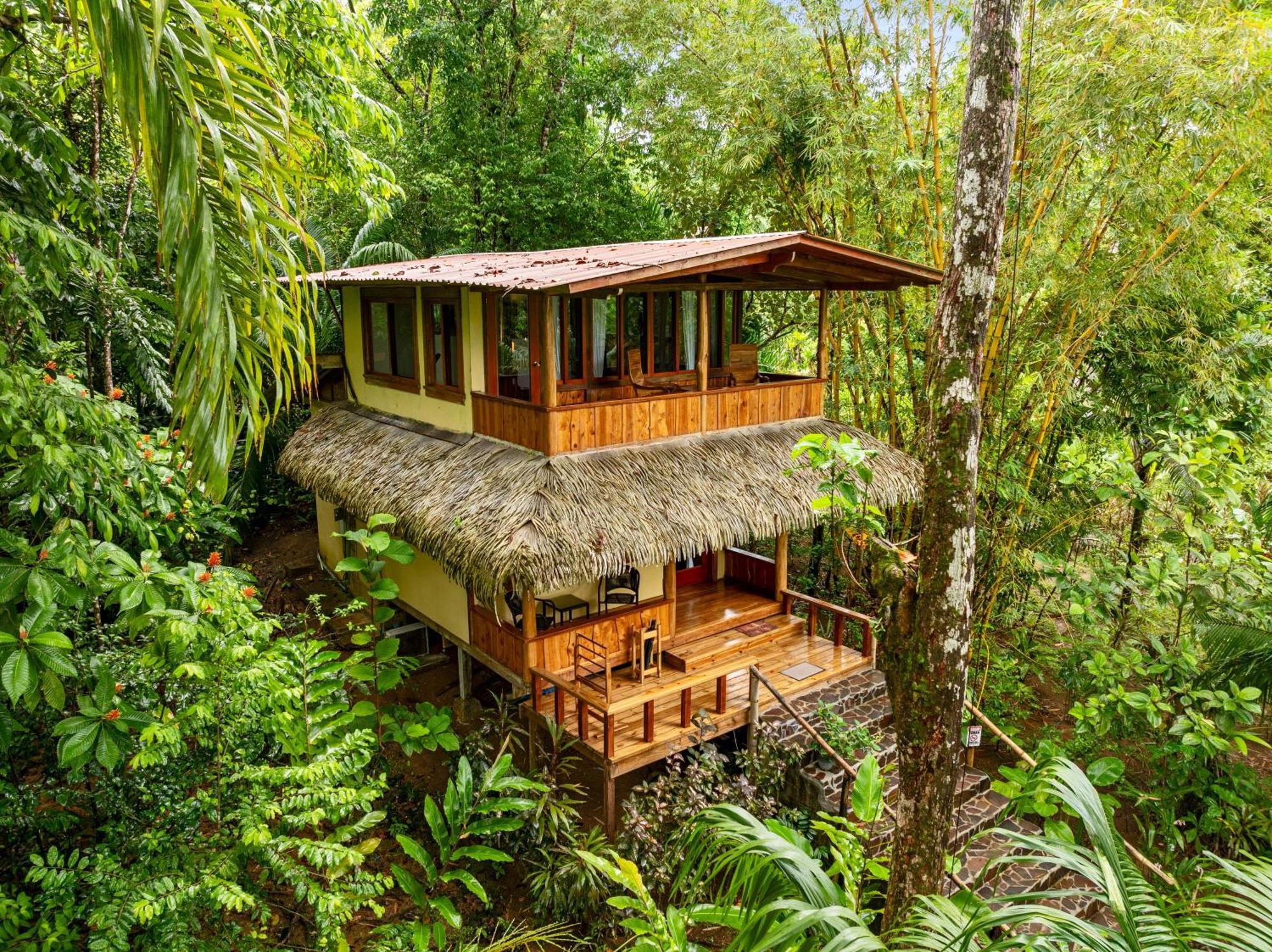 Copa De Arbol Beach & Rainforest Resort Драке Экстерьер фото