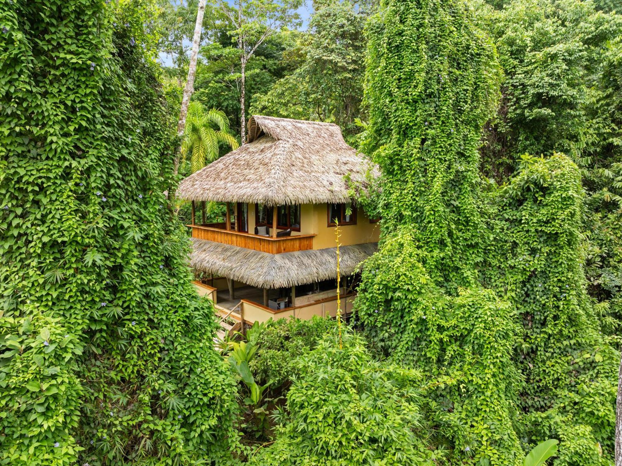 Copa De Arbol Beach & Rainforest Resort Драке Экстерьер фото