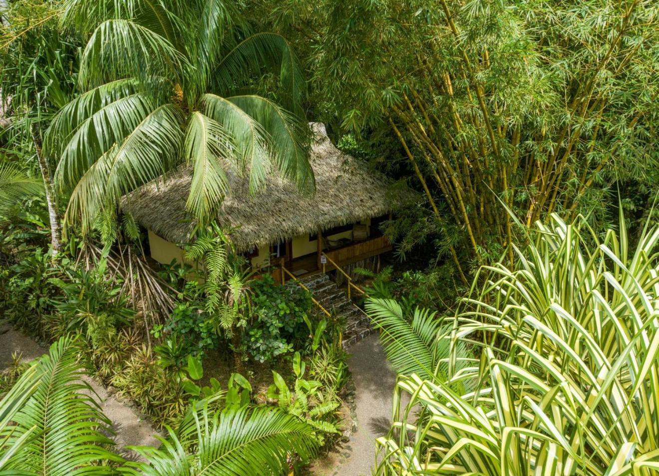 Copa De Arbol Beach & Rainforest Resort Драке Номер фото