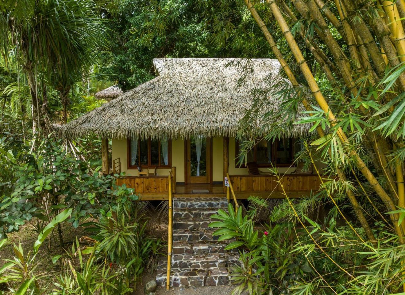 Copa De Arbol Beach & Rainforest Resort Драке Экстерьер фото