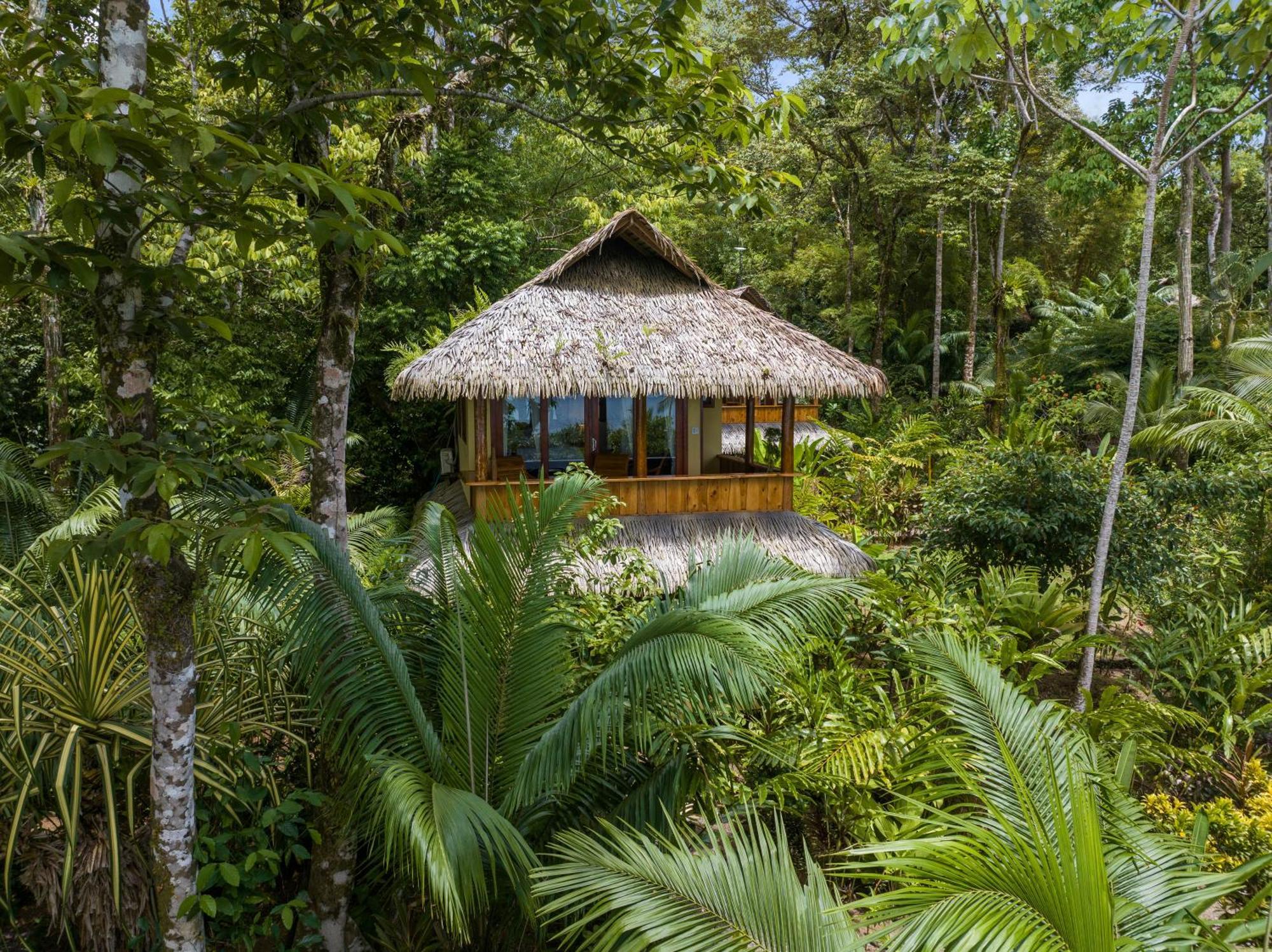 Copa De Arbol Beach & Rainforest Resort Драке Номер фото