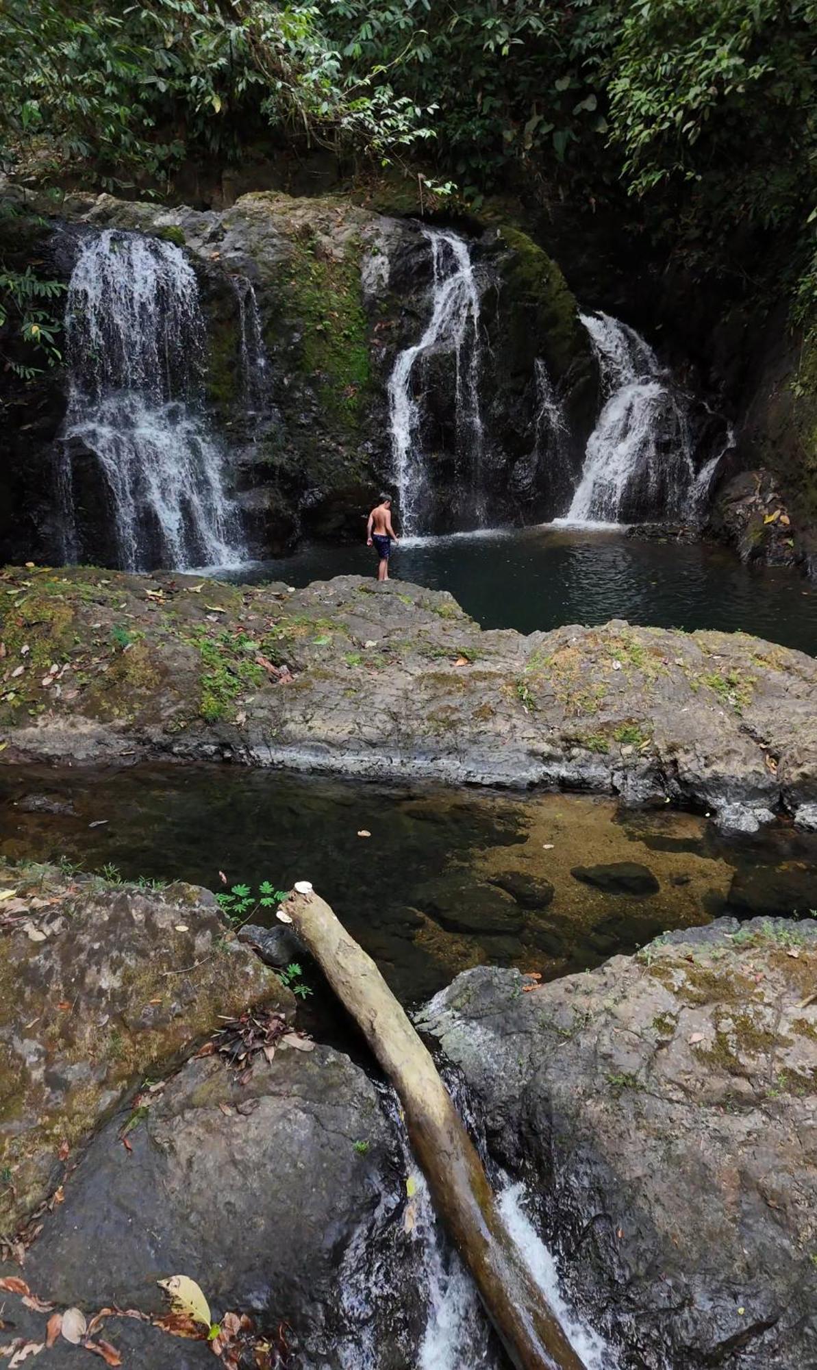 Copa De Arbol Beach & Rainforest Resort Драке Экстерьер фото