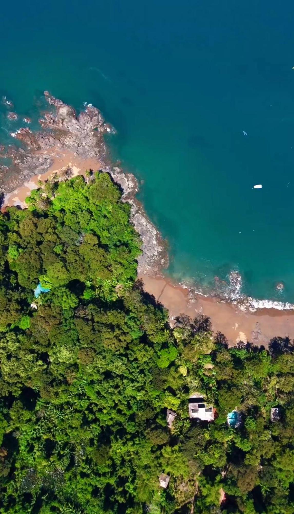 Copa De Arbol Beach & Rainforest Resort Драке Экстерьер фото