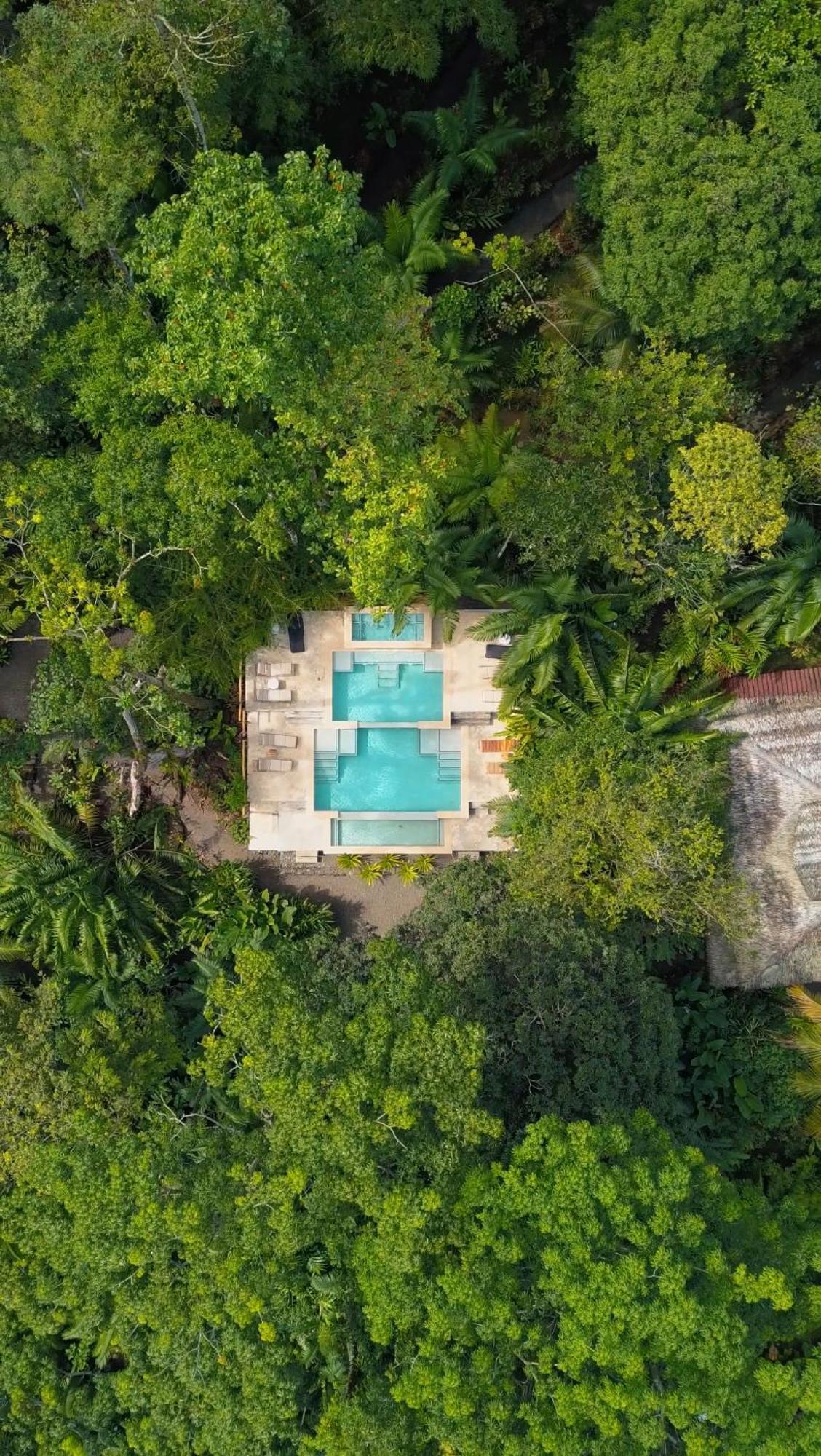 Copa De Arbol Beach & Rainforest Resort Драке Экстерьер фото
