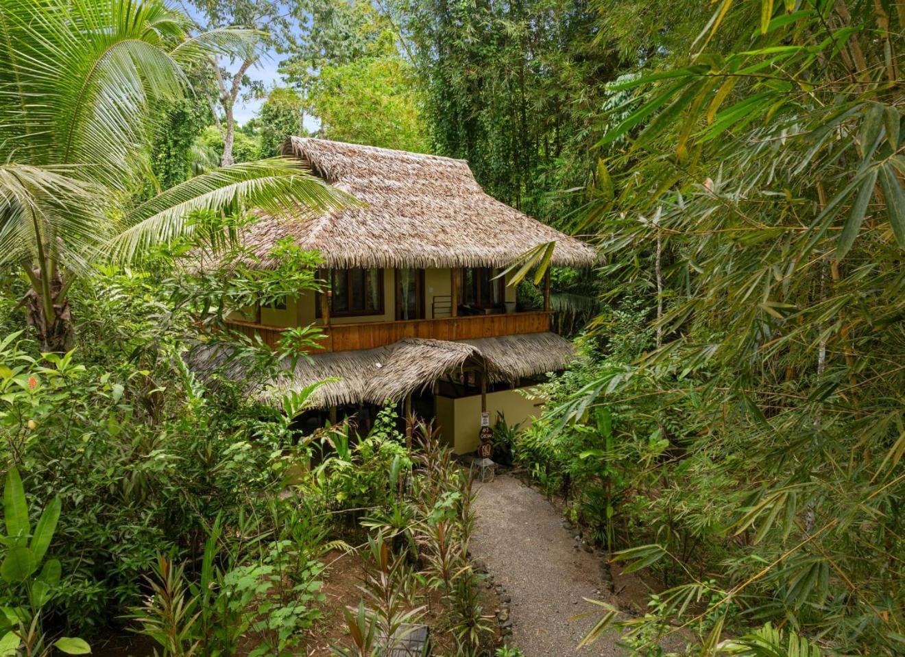 Copa De Arbol Beach & Rainforest Resort Драке Экстерьер фото