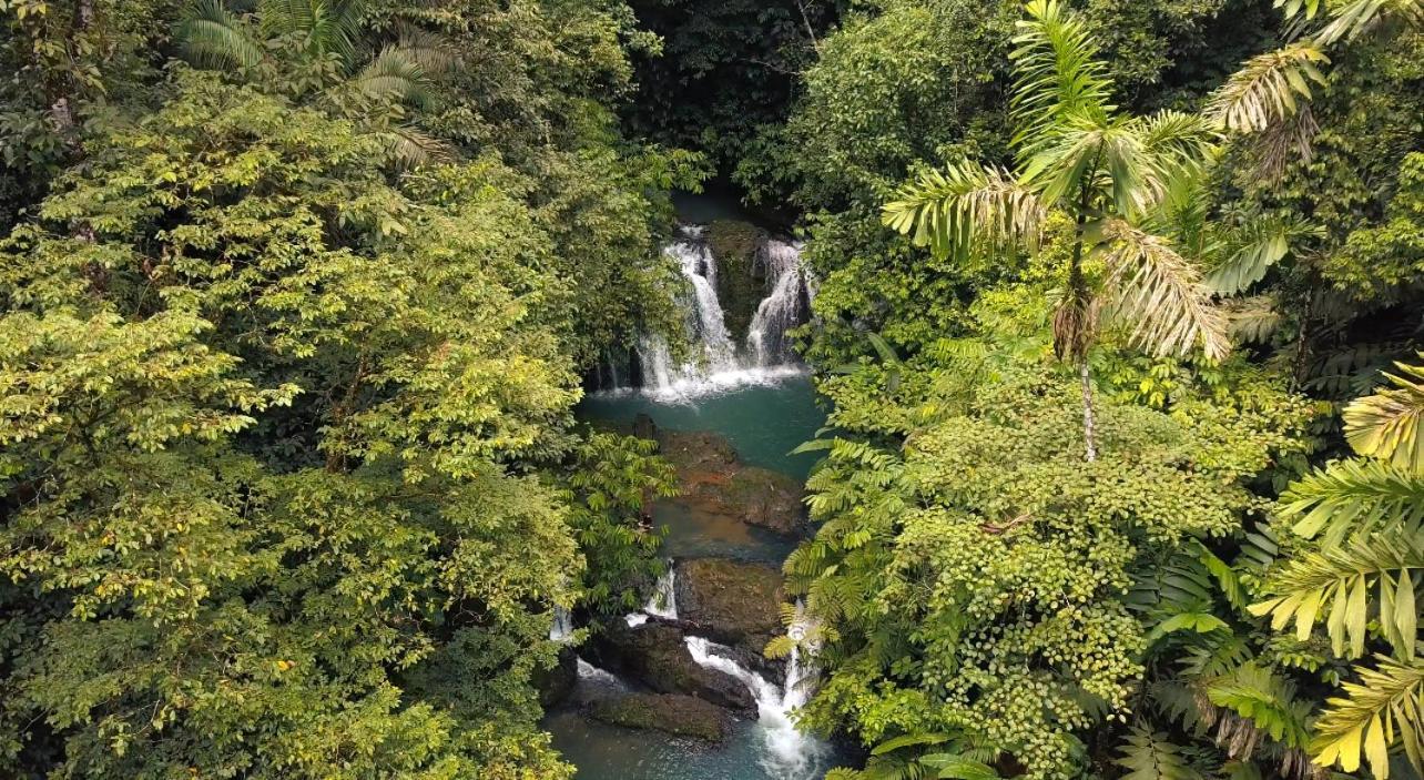 Copa De Arbol Beach & Rainforest Resort Драке Экстерьер фото