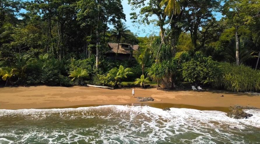 Copa De Arbol Beach & Rainforest Resort Драке Экстерьер фото