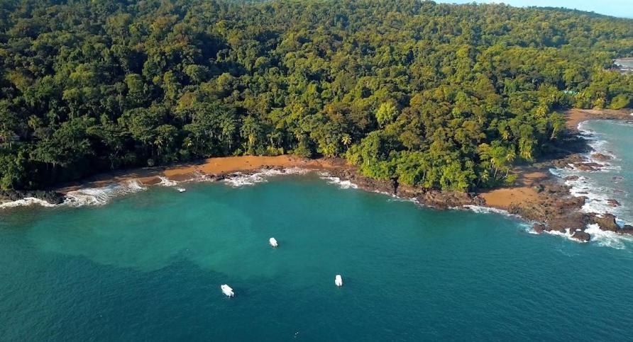Copa De Arbol Beach & Rainforest Resort Драке Экстерьер фото