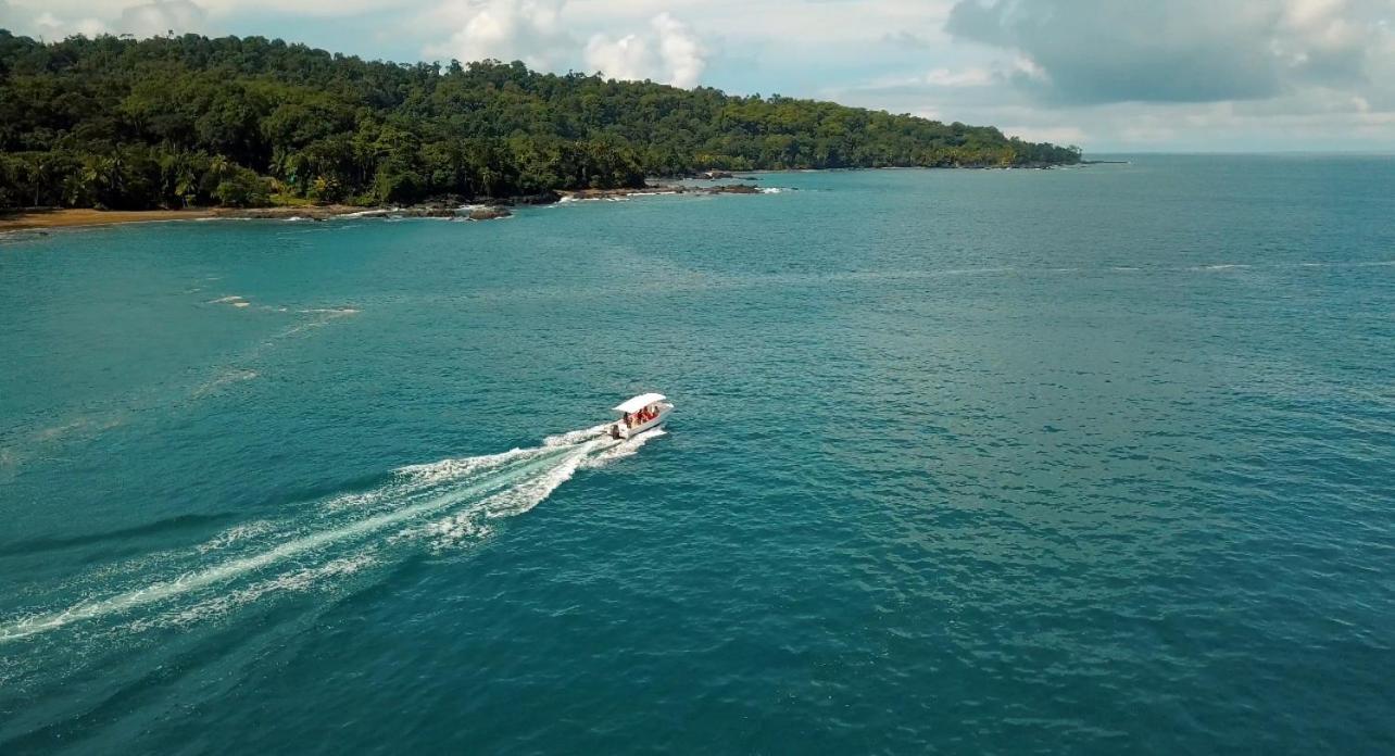 Copa De Arbol Beach & Rainforest Resort Драке Экстерьер фото