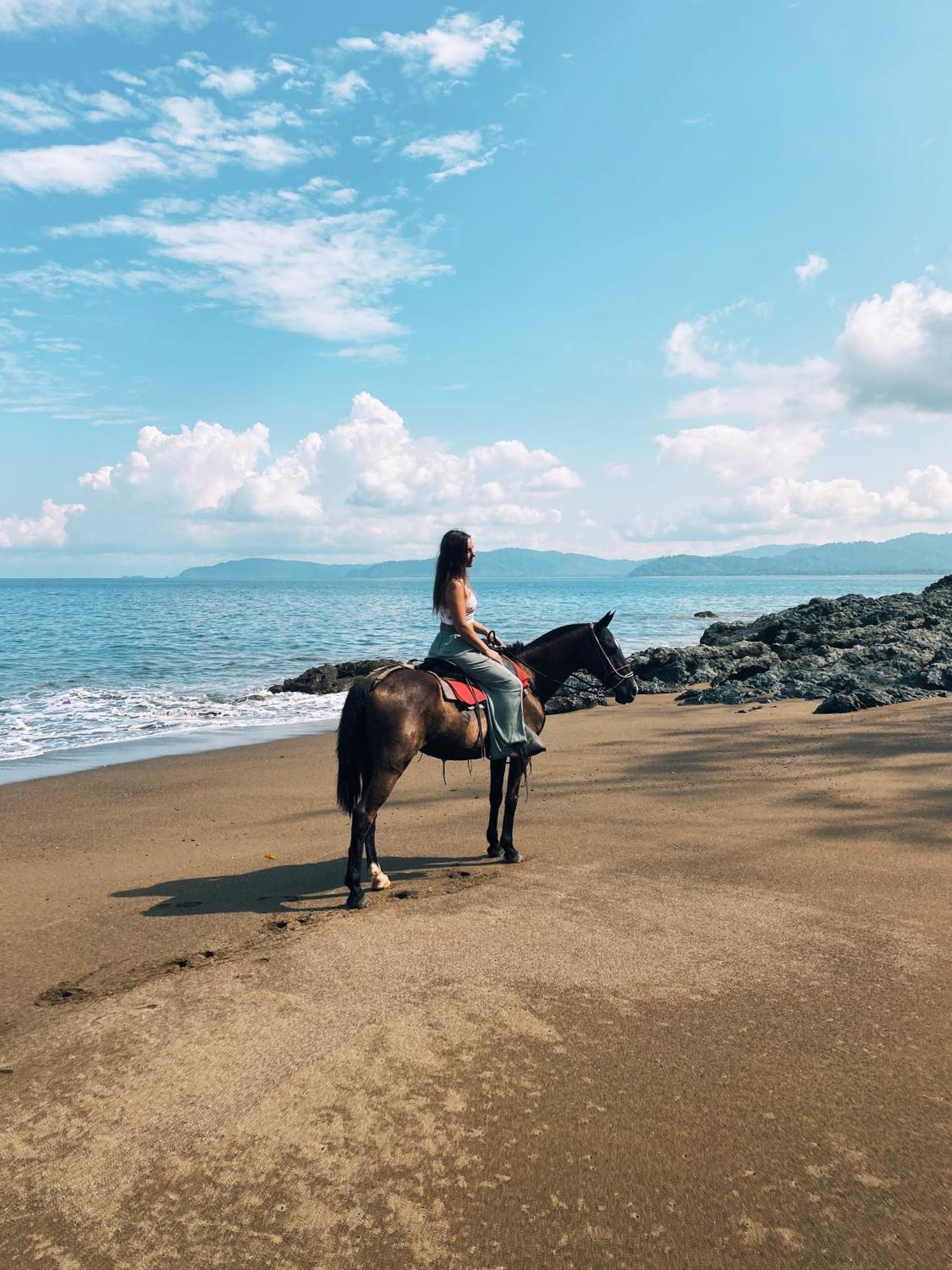 Copa De Arbol Beach & Rainforest Resort Драке Экстерьер фото